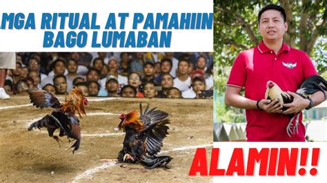 pamahiin para manalo sa sabong|Sabong Tips: Mga Ritual At Pamahiin Na Pwedeng Makatulong .